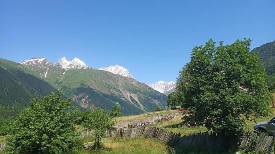 Tebdi Qor, Warm Home ميستيا المظهر الخارجي الصورة